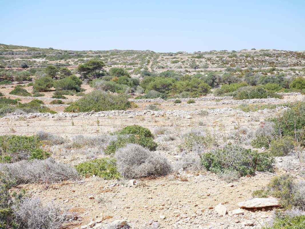 Comino - stredom ostrova na pláž Santa Marija