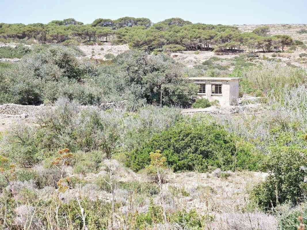 Comino - stredom ostrova na pláž Santa Marija