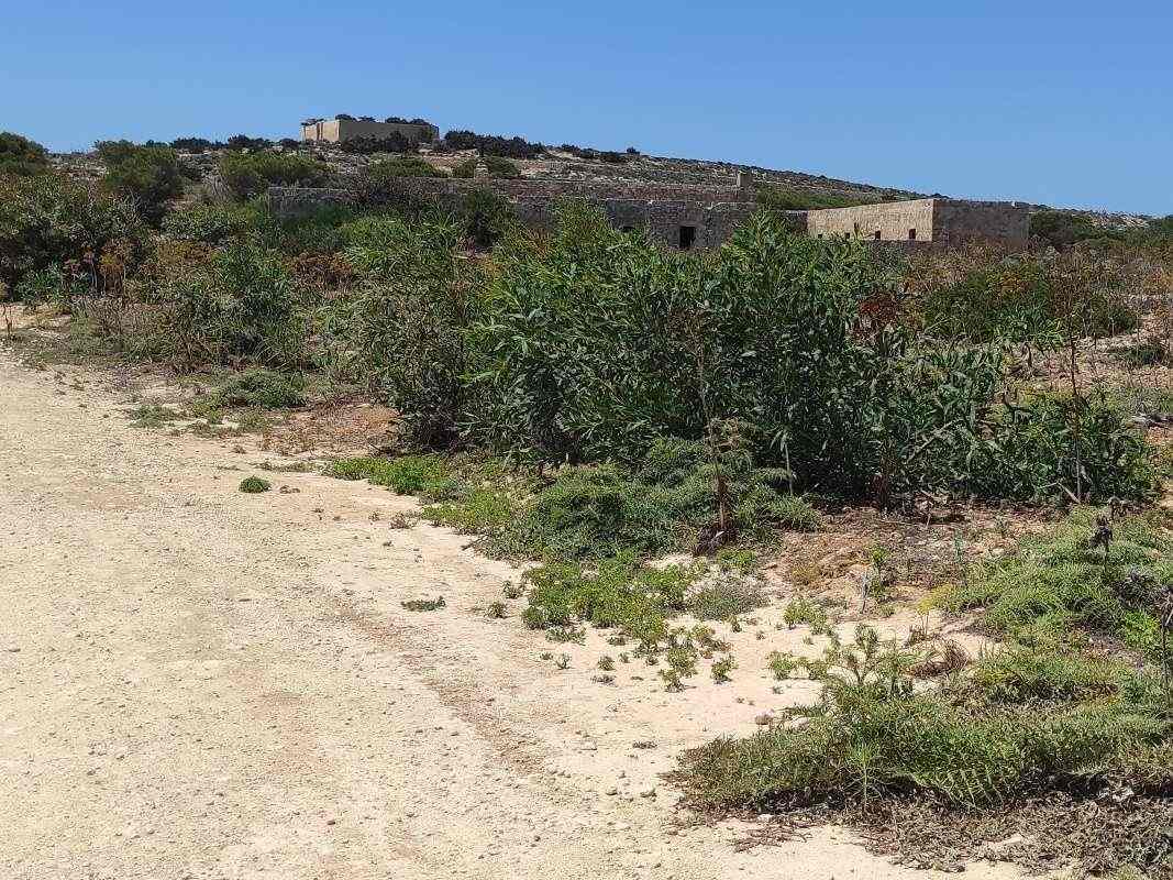Comino - z pláže Santa Marija do Modrej Lagúny