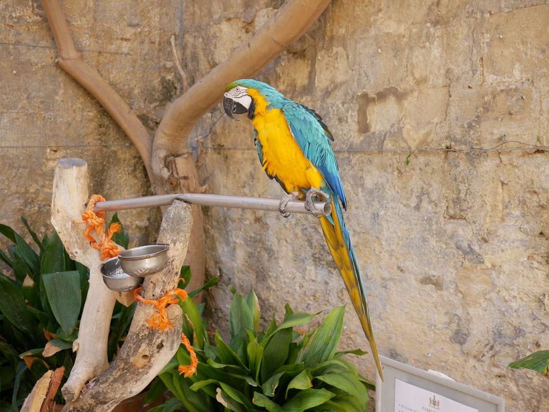 Valletta - Casa Rocca Piccola