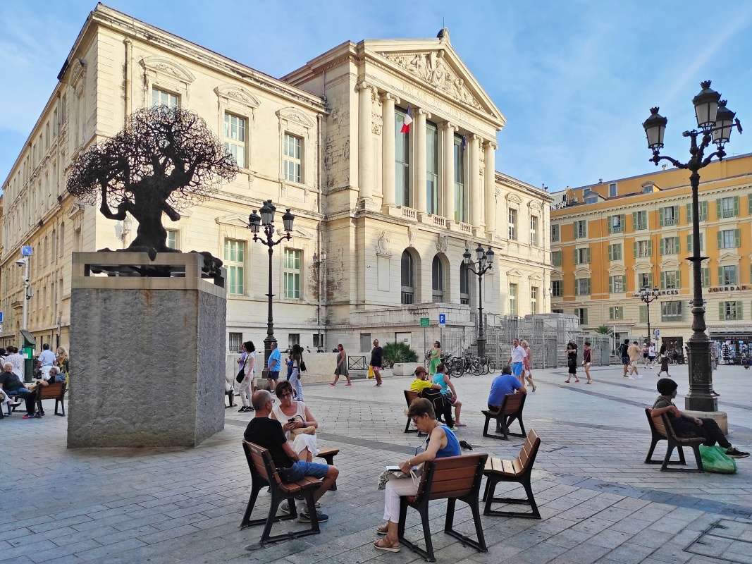 Olivový strom na Námestí Justičného paláca