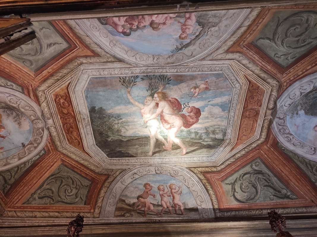Múzeum Palác Lascaris - Salón Venuše a Adonisa