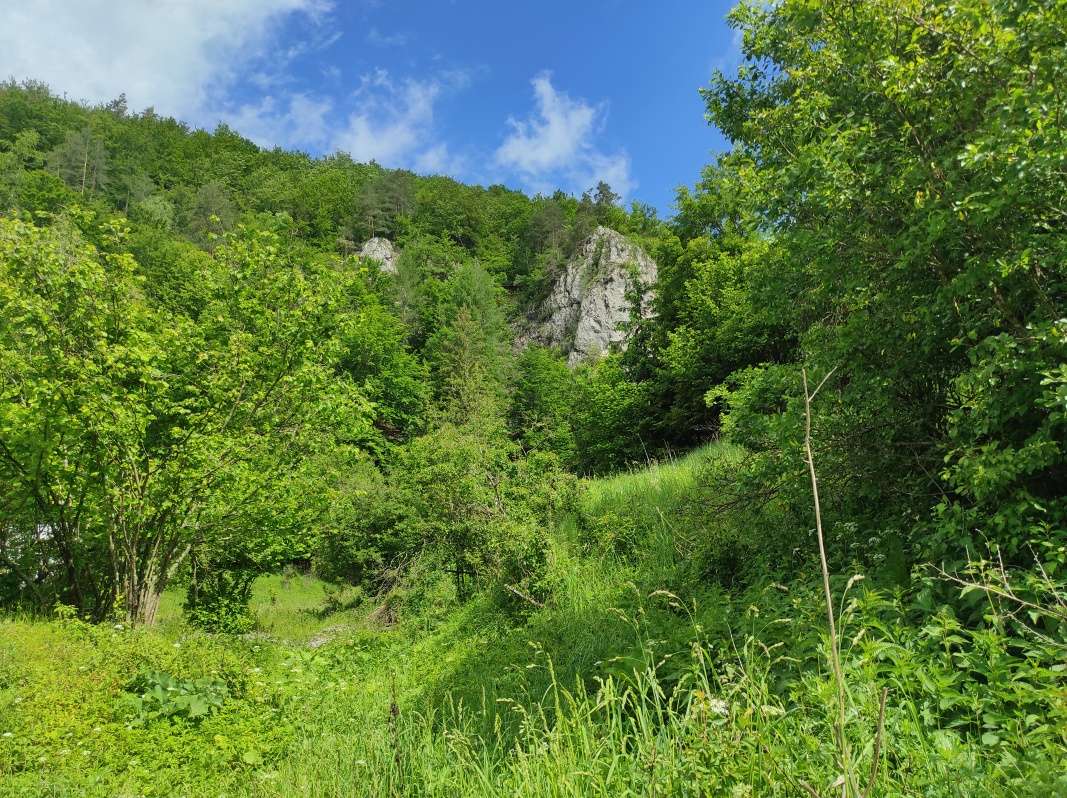Poráčska dolina