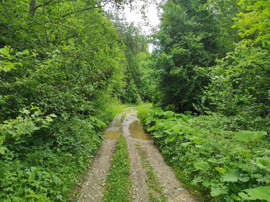 Poráčska dolina