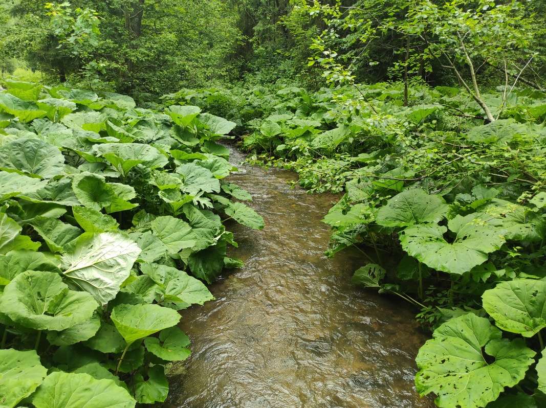 Poráčska dolina