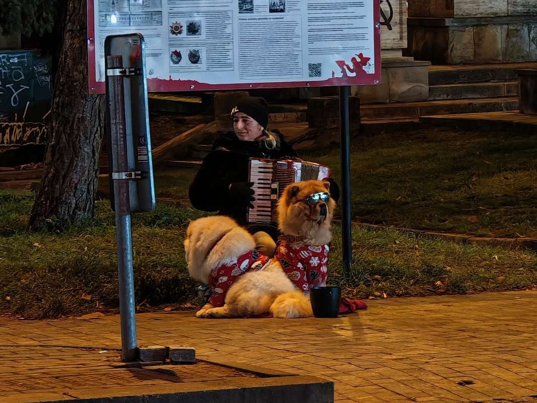 Vianočné trhy