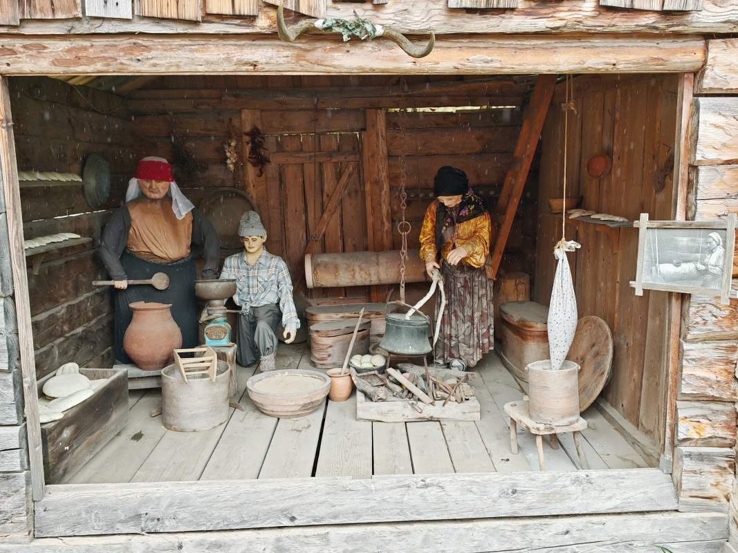 Výroba mliečnych produktov (syra)