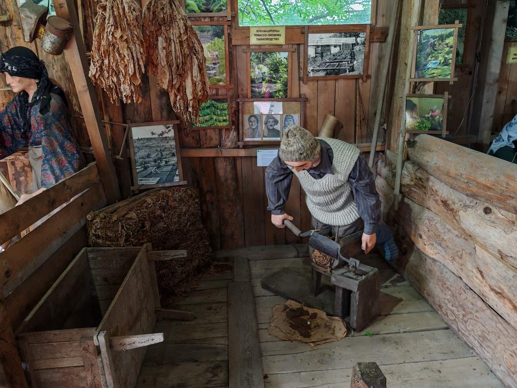 Pestovanie a výroba tabaku