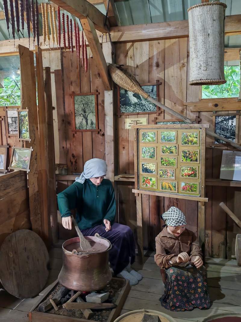 Pestovanie a spracovani ovocia, výroba čurčela