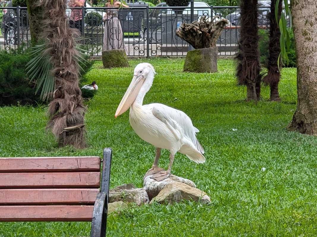 Vtáčia ZOO v parku