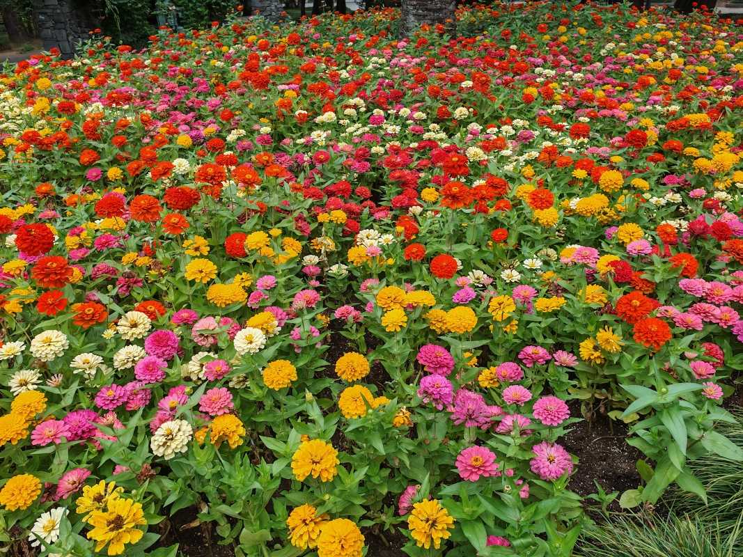 Park popri Promenáde