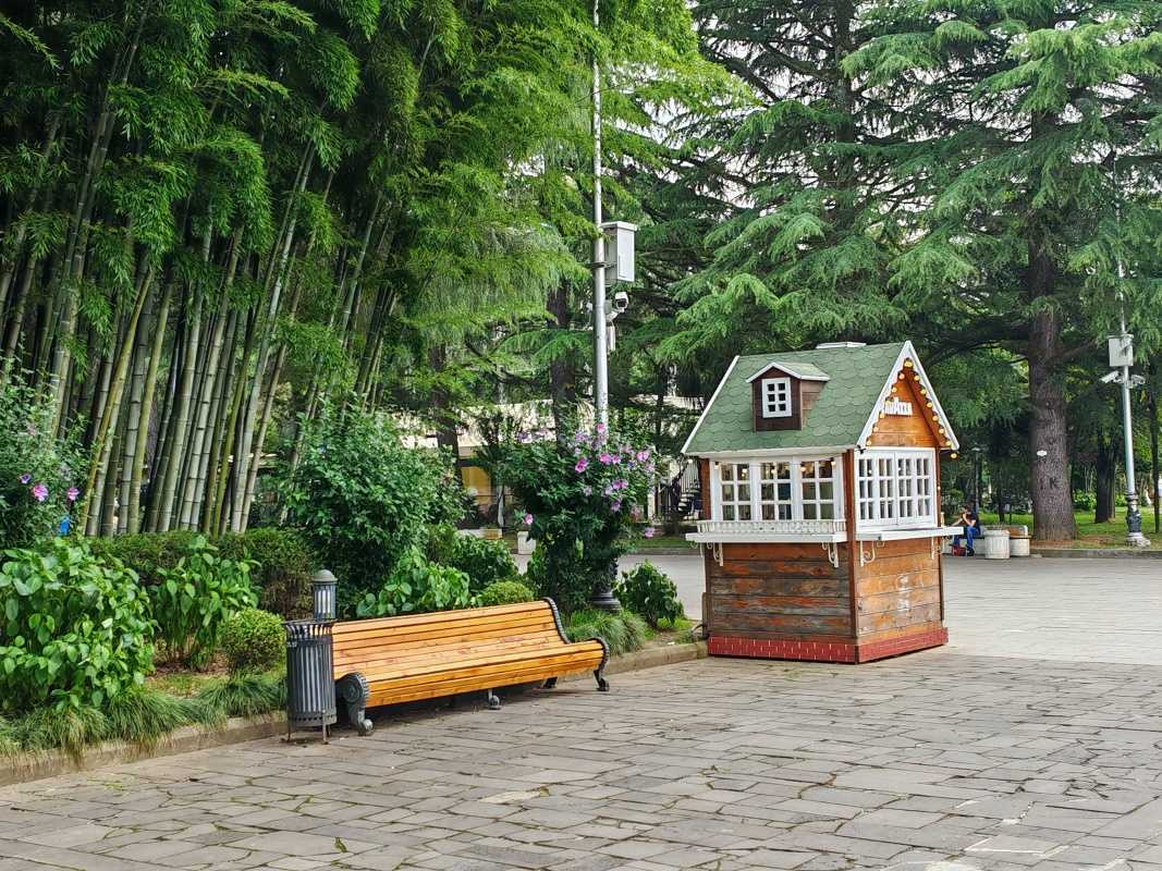 Bambusový les a cestička k Letnému divadlu