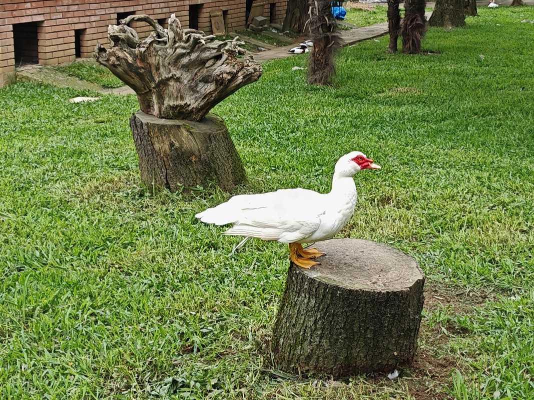 Park a Vtáčia ZOO