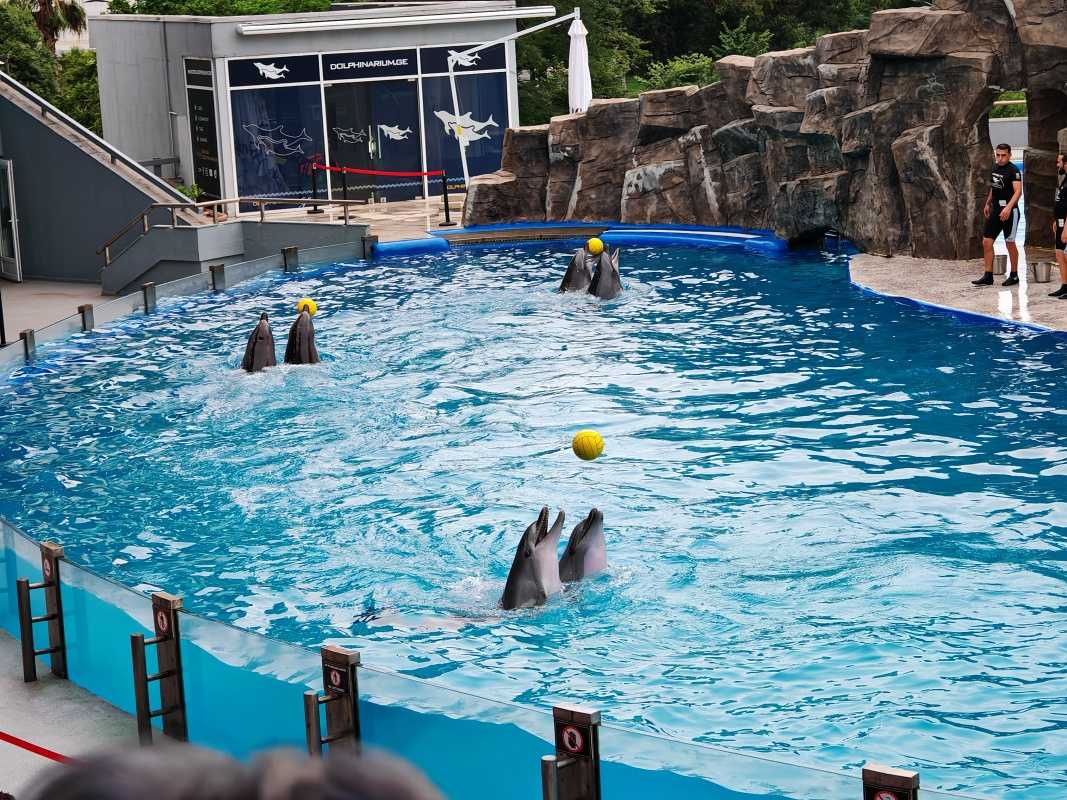 Delfinárium
