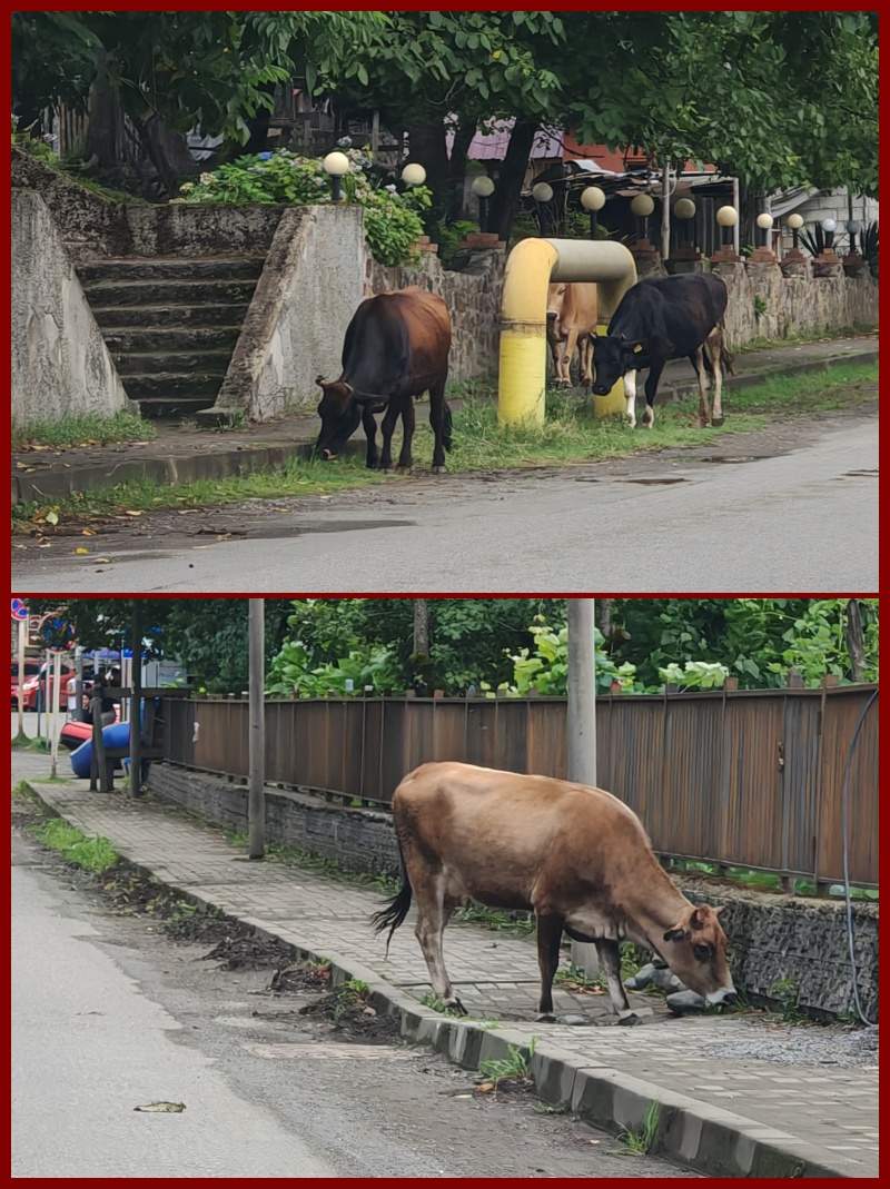 Gruzínske cesty - divoký západ :)