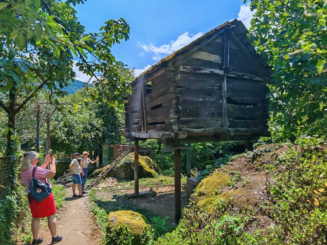 Okolie Mirveti vodopádu