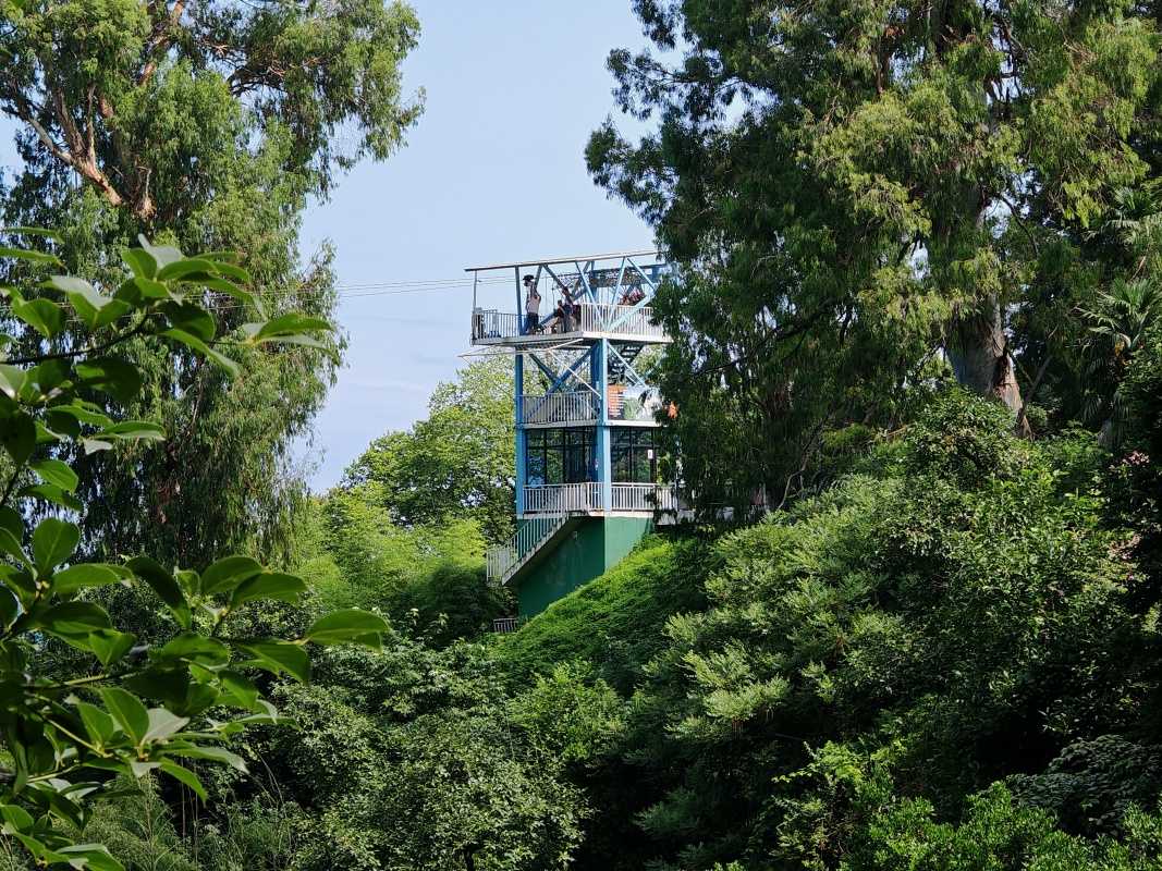Botanická záhrada, štart zipline