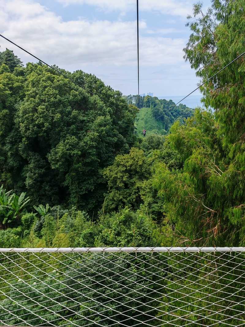 Botanická záhrada, letíííím :)