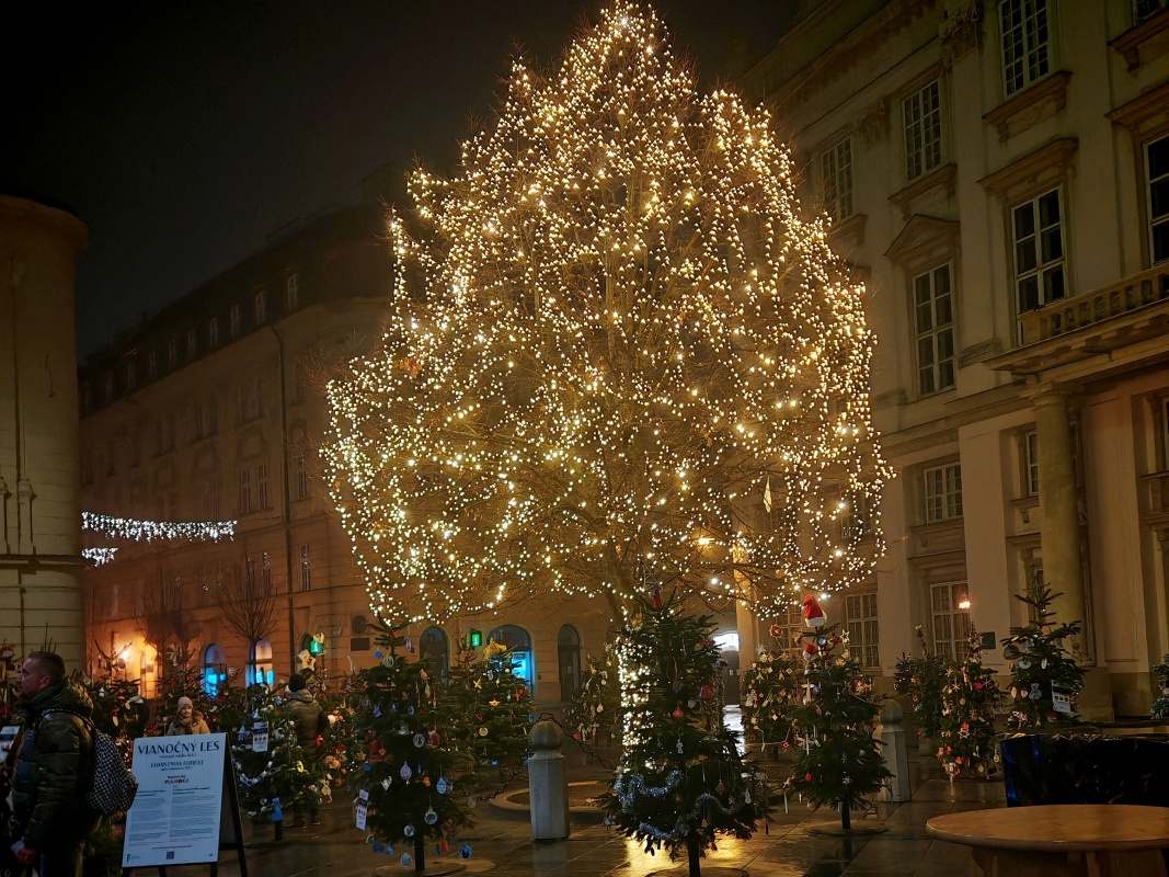 Vianočný les pred Primaciálnym palácom