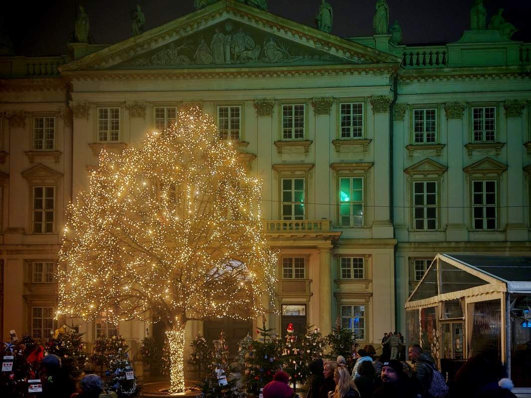 Vianočný les pred Primaciálnym palácom