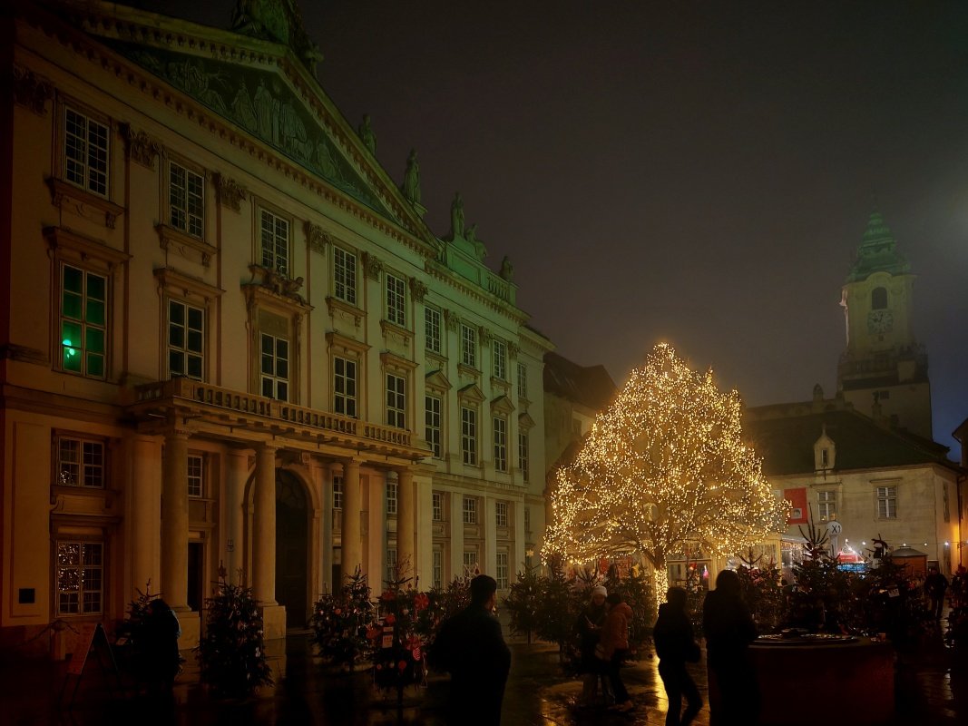 Vianočný les pred Primaciálnym palácom