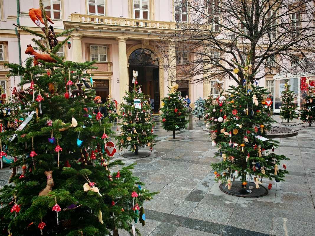 Vianočný les pred Primaciálnym palácom