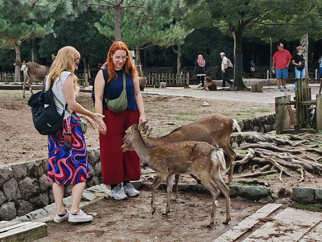 Hanka a Majka - oplátky sa minuli