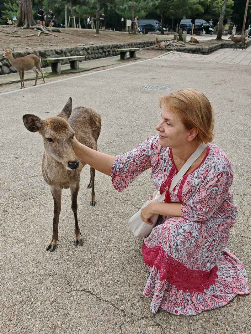 Ja a jelenček