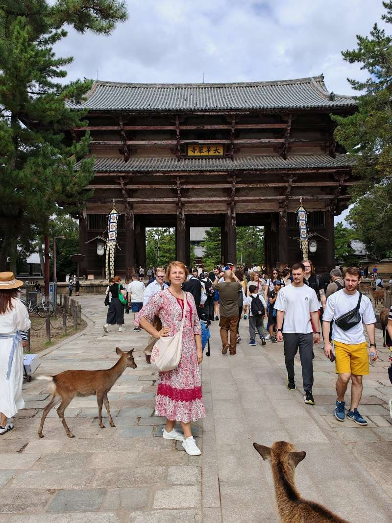 Nandai-mon, Veľká južná brána do chrámu Tōdai-ji
