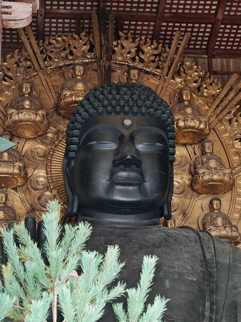 Daibutsu-den, Veľká Budhova sála chrámu Tōdai-ji