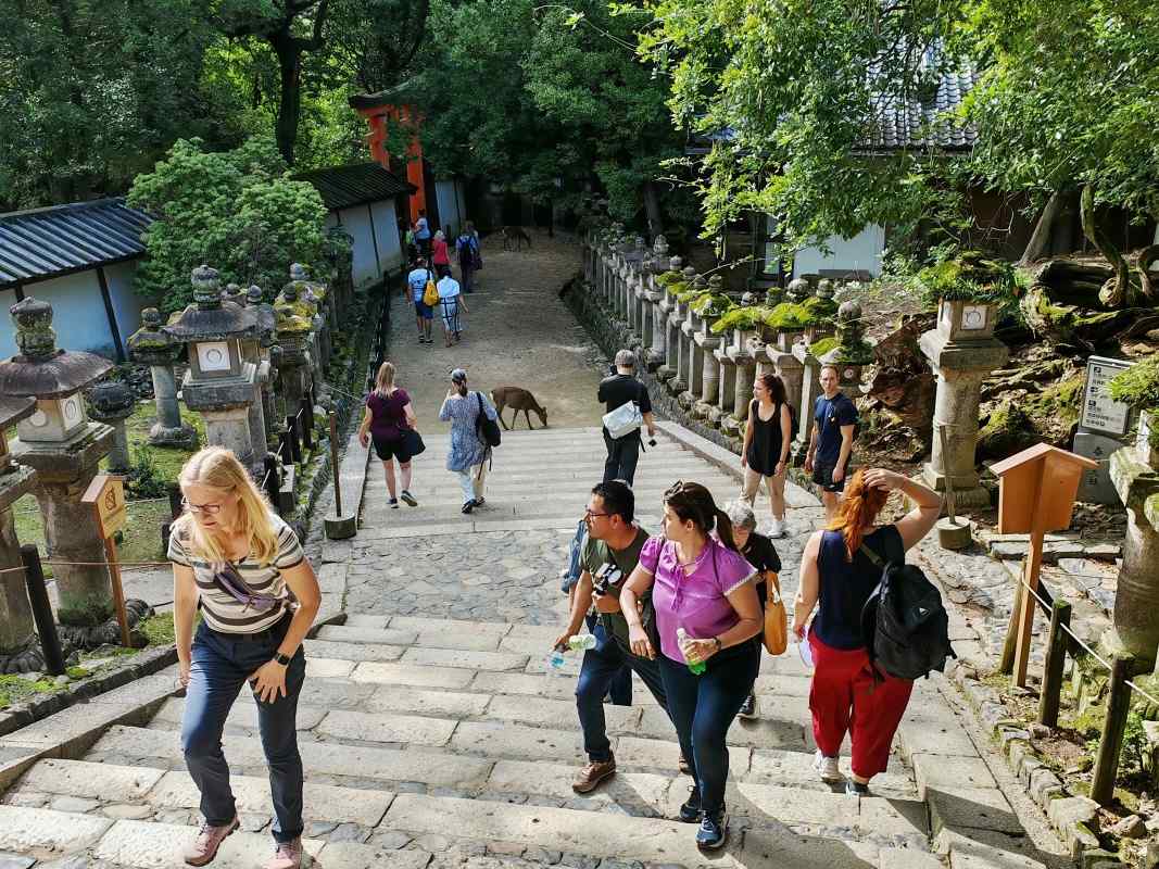 Kasugataisha Shrine - šintoistická svätyňa tisicov lampášov, odchádzame