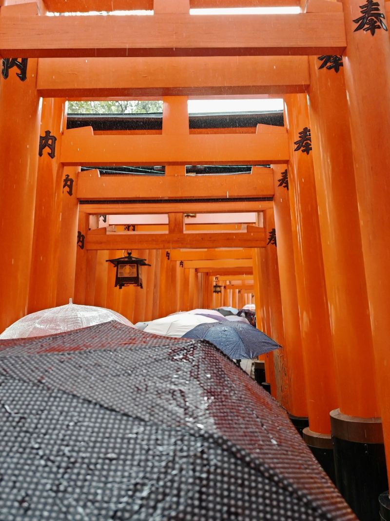 Torii brány plné dáždnikov :)