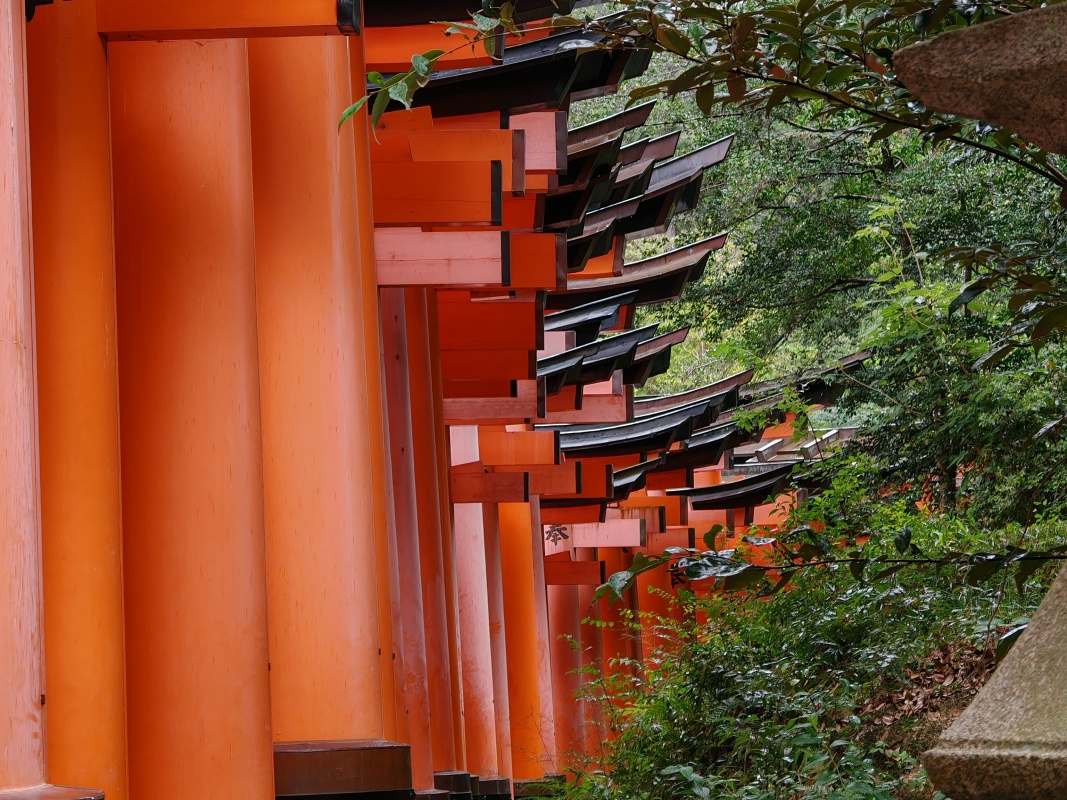Torii brány