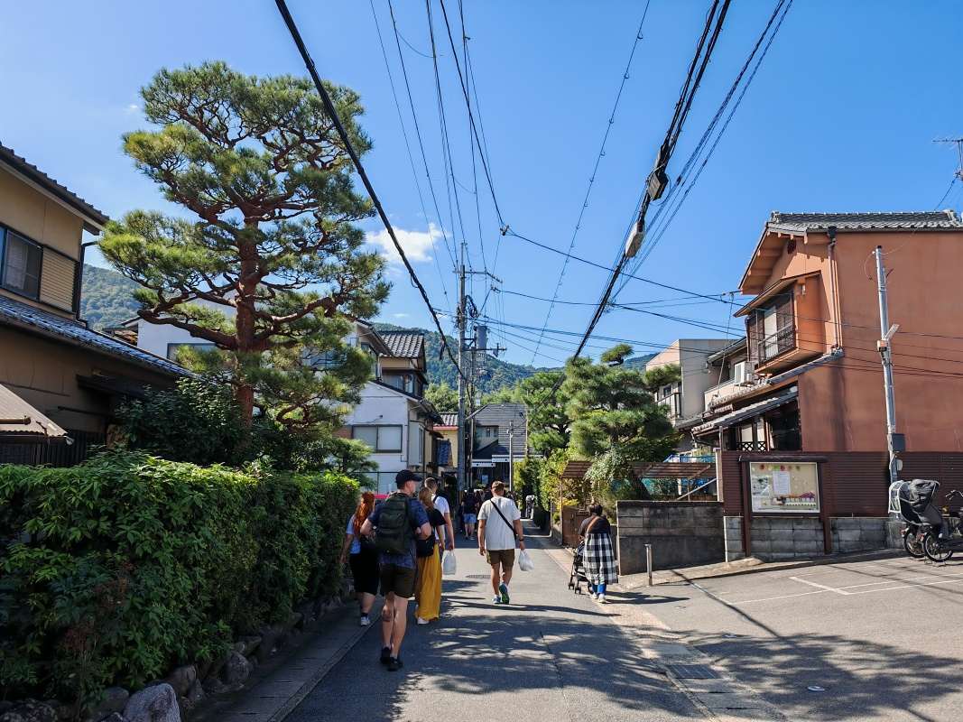 Ideme do bambusového lesa Arashiyama