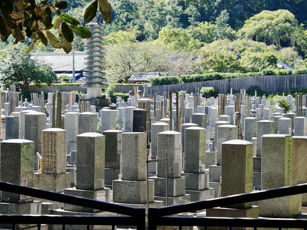 Bambusový les Arashiyama