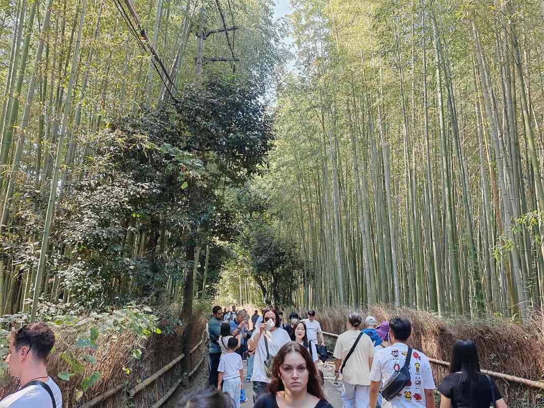Bambusový les Arashiyama