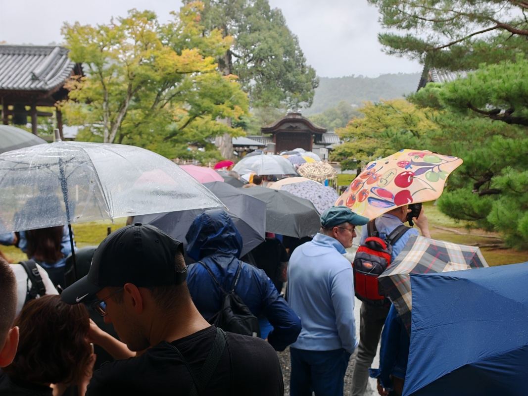 11:20, prestali sme čakať ideme pozrieť Kinkaku-ji