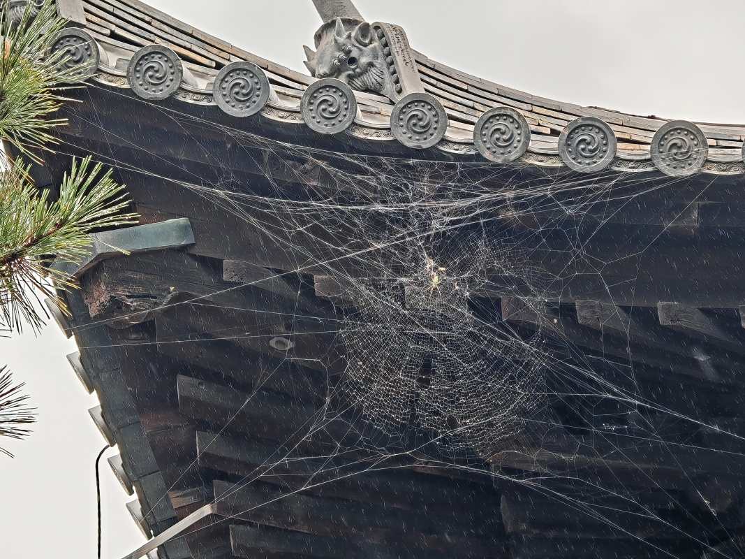 Zen-budhistický chrám Daitoku-ji