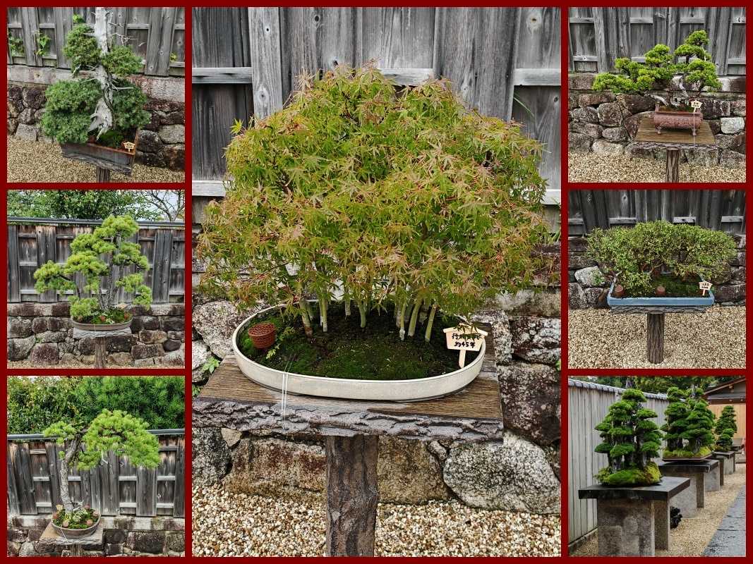 Zen-budhistický chrám Daitoku-ji