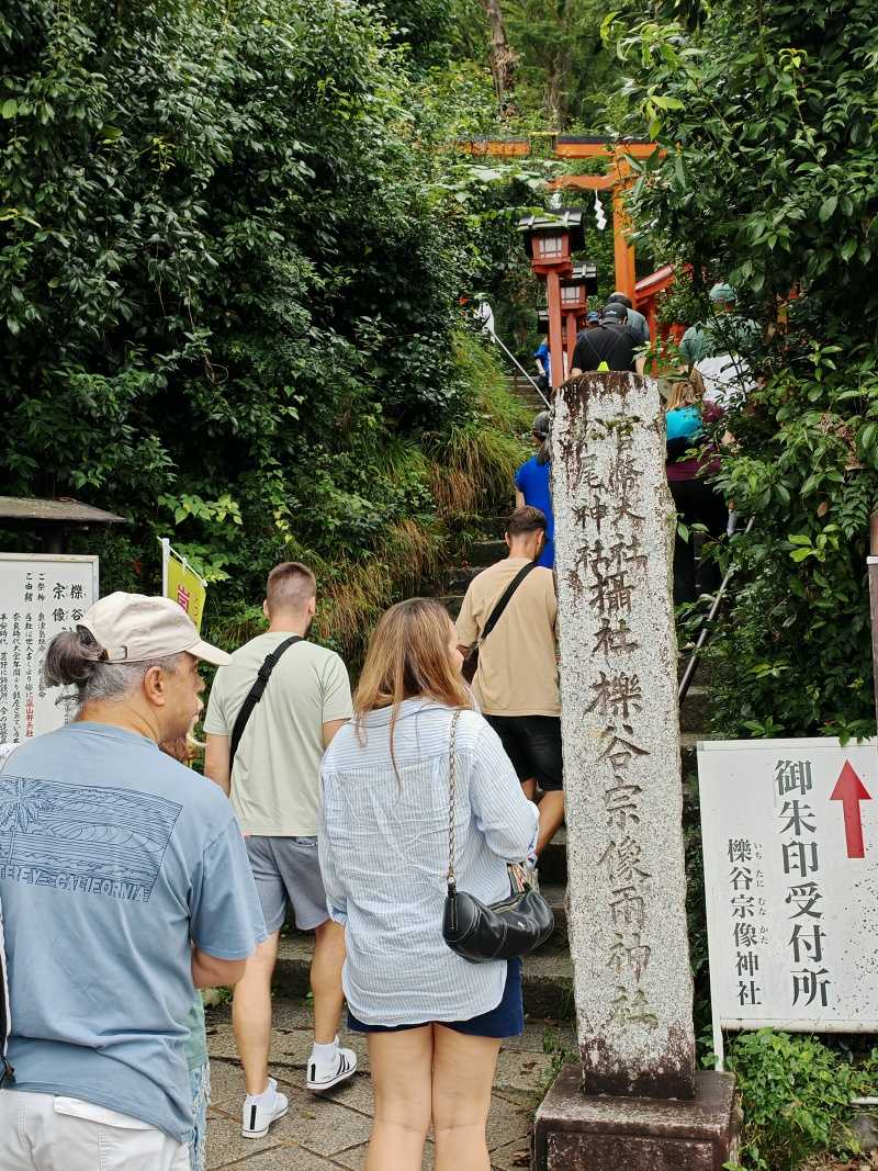 14:30, Arashiyama Monkey Park