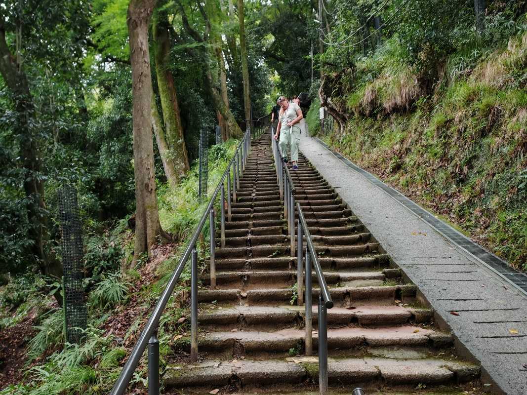 Arashiyama Monkey Park