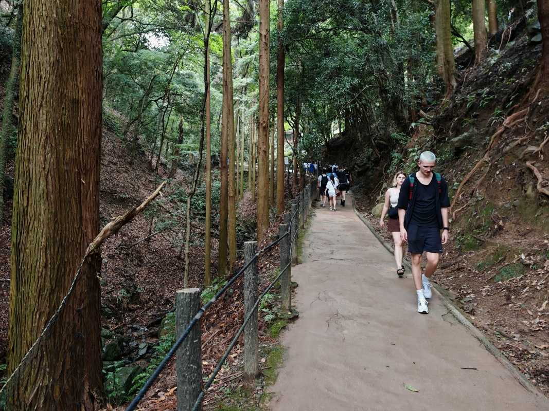 Arashiyama Monkey Park