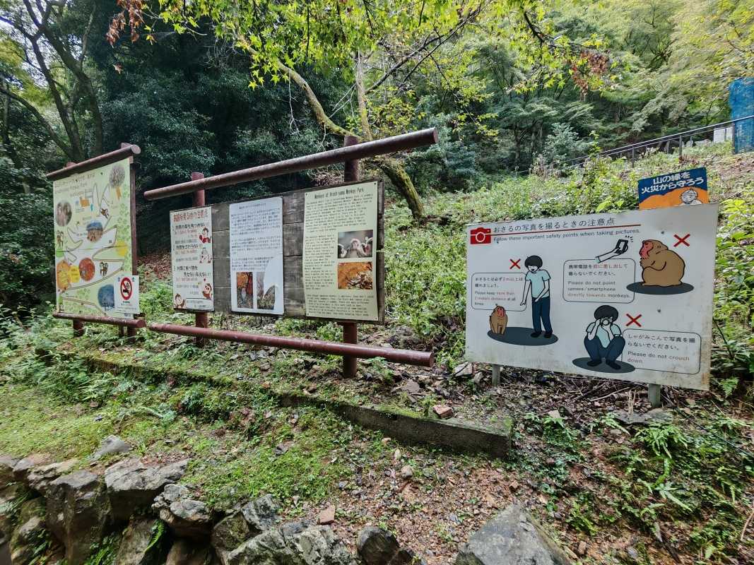 Arashiyama Monkey Park