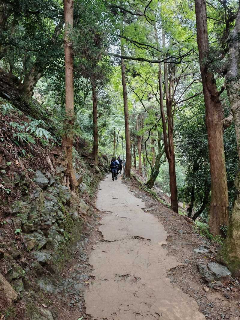 Arashiyama Monkey Park