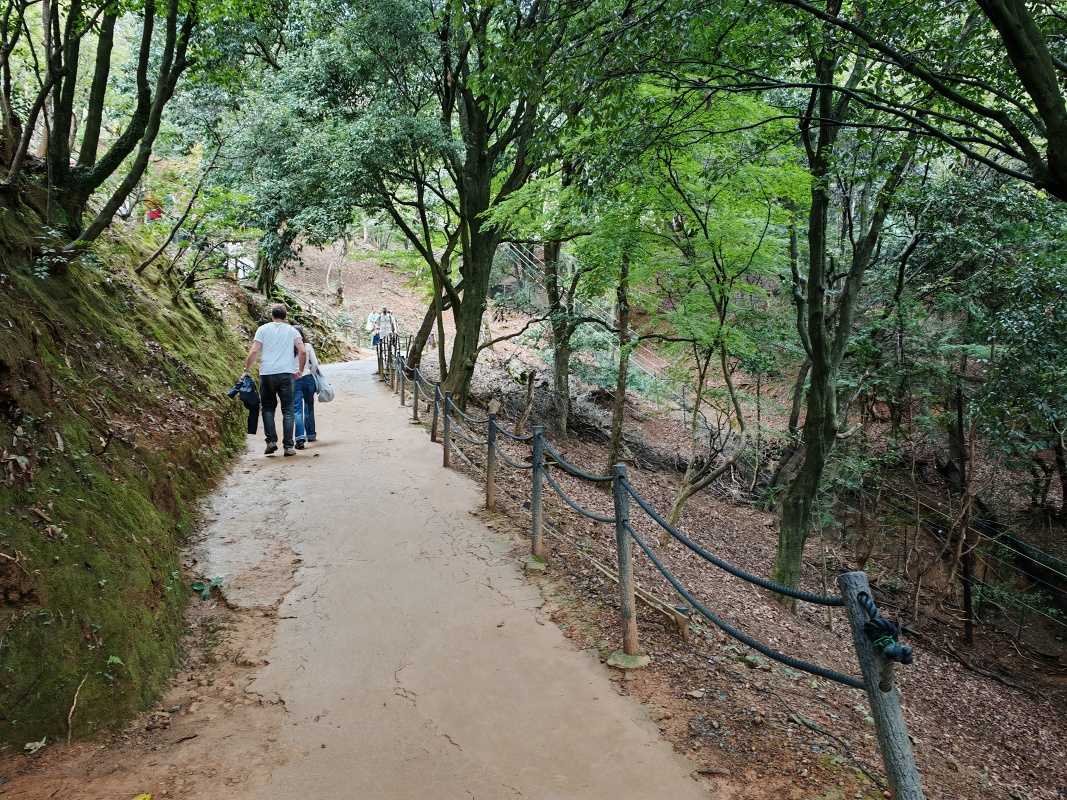 Arashiyama Monkey Park