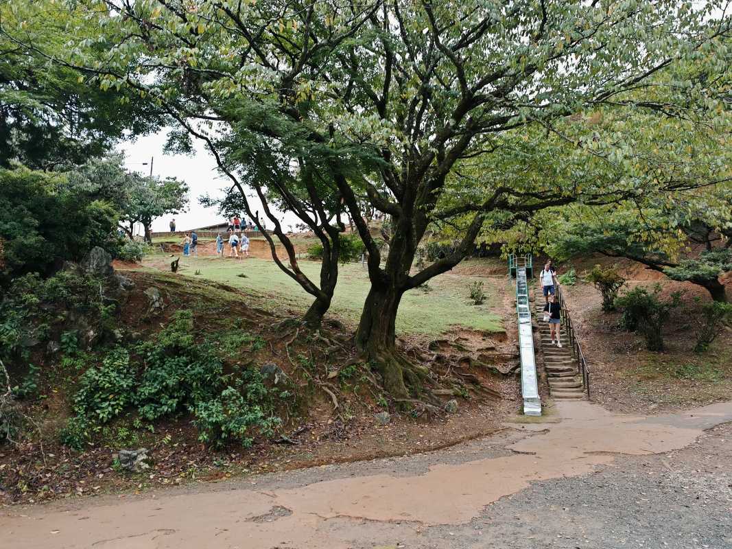 Arashiyama Monkey Park