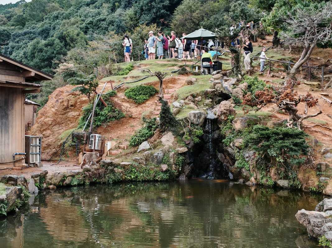 Arashiyama Monkey Park