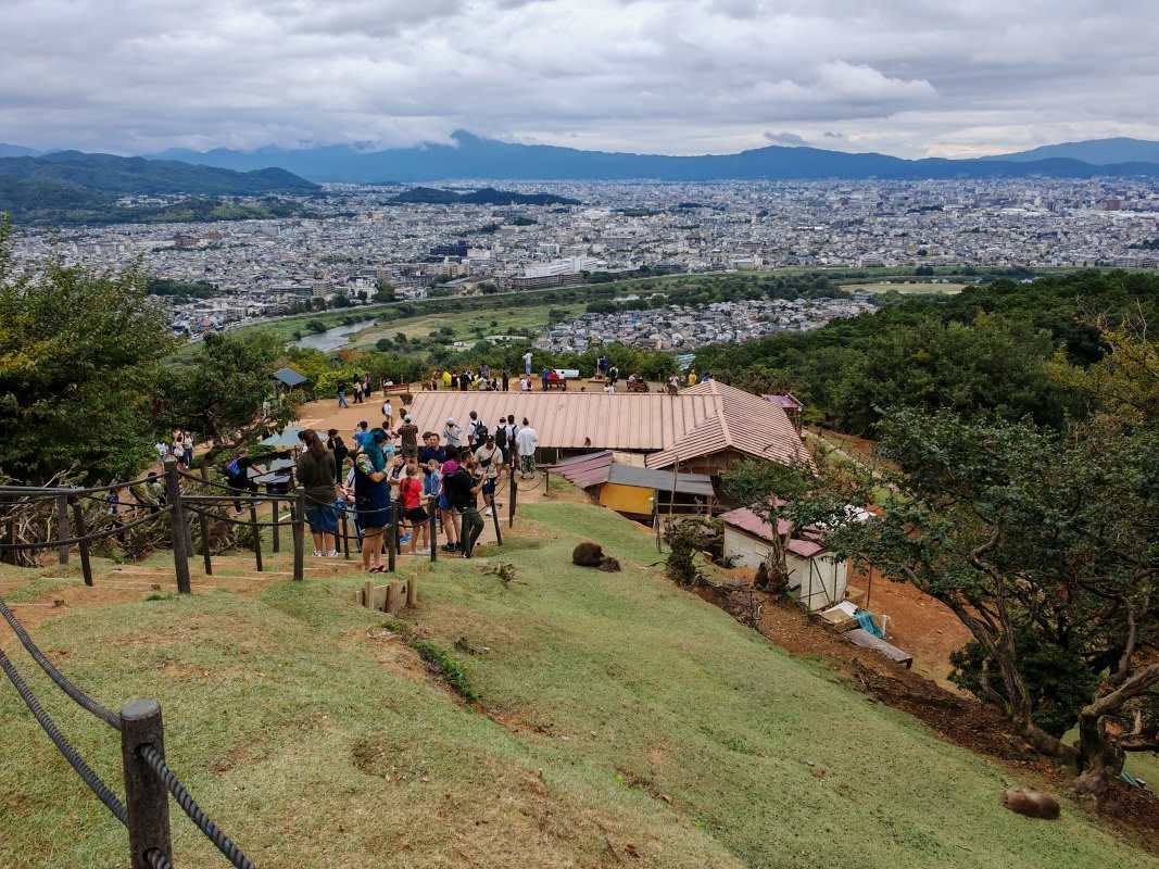 Arashiyama Monkey Park