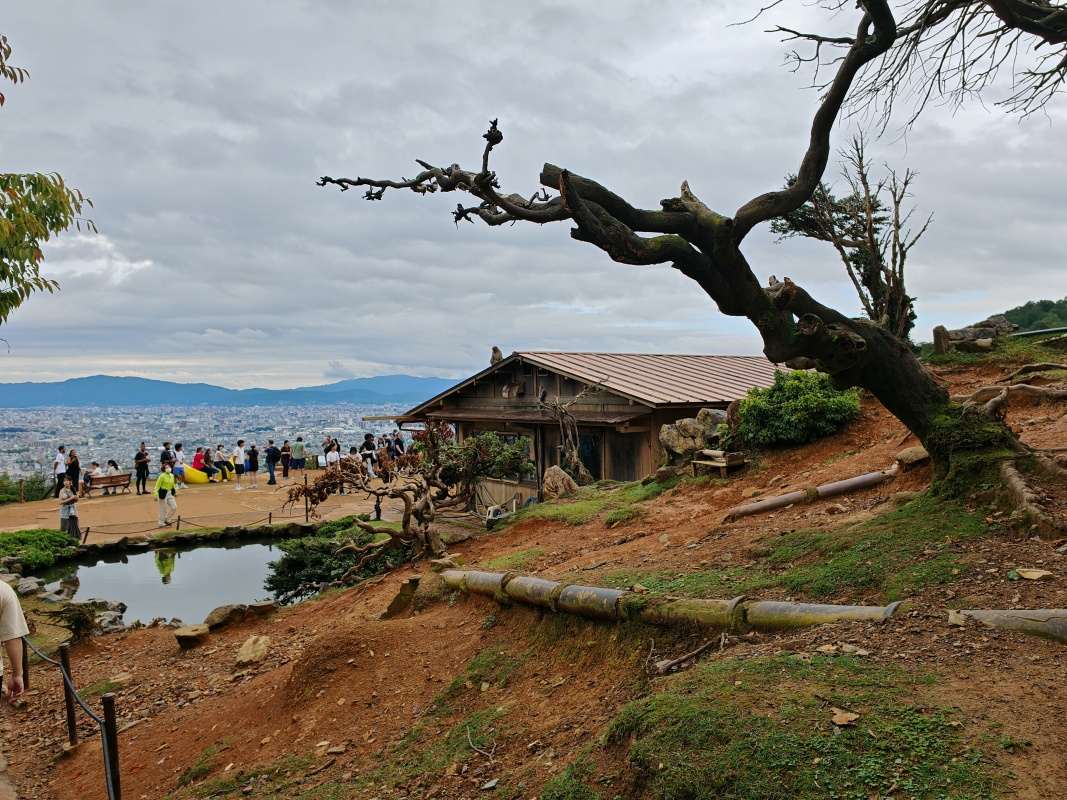 Arashiyama Monkey Park
