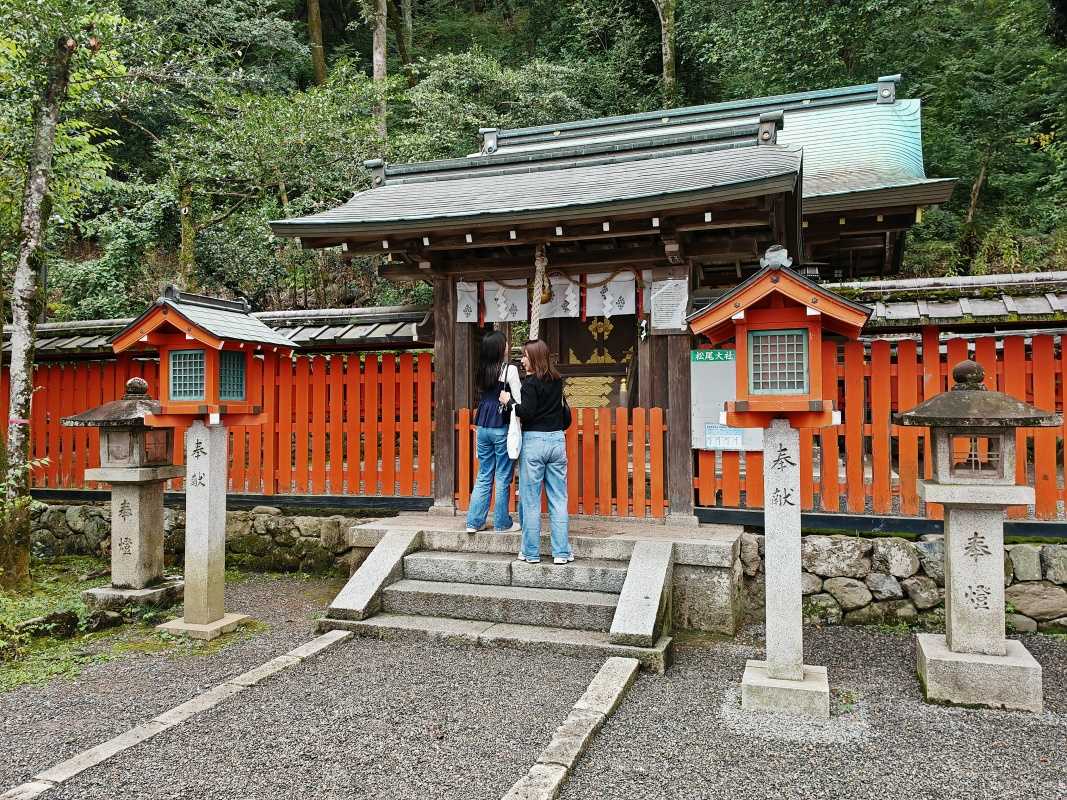 Arashiyama Monkey Park